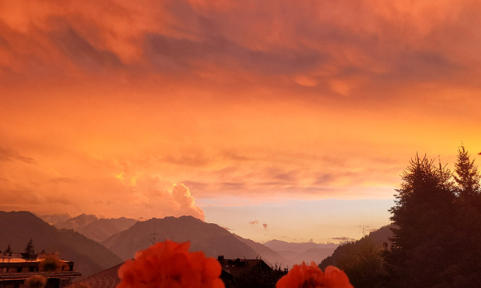 Prix et disponibilités des appartements à Verbier