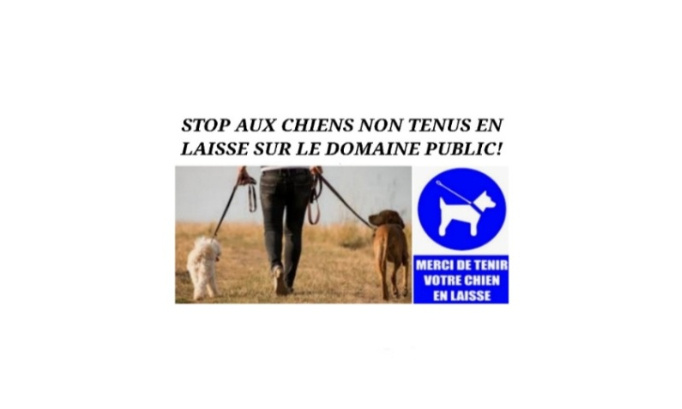 Stop aux chiens non tenus en laisse sur le domaine public !
