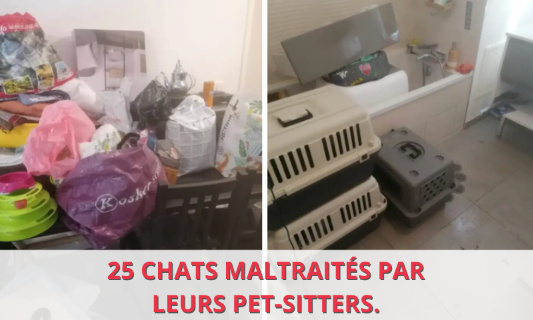 POUR UN RENFORCEMENT DES RÈGLES CONCERNANT LES PET-SITTERS !