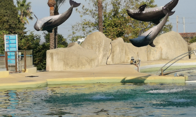 Pour que les spectacles nocturnes d orques et de dauphins reprend &agrave; marineland d antibes.