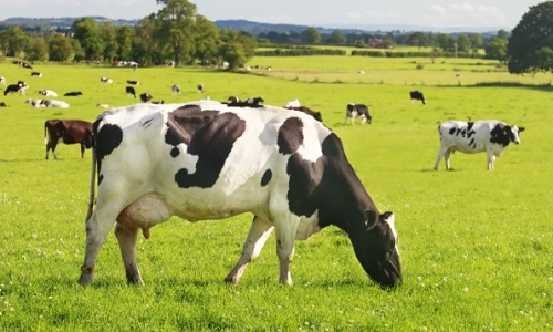 Sauvons l'agriculture !