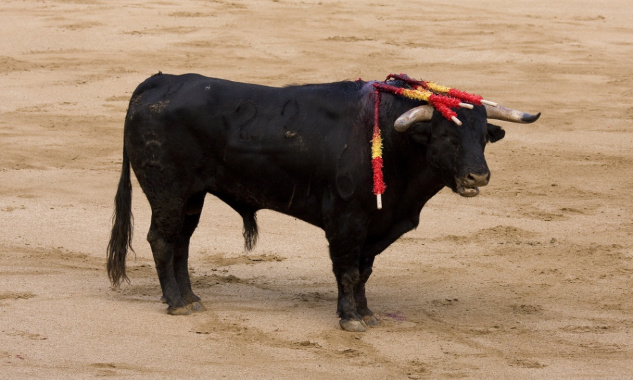 Pour le respect des animaux en France !