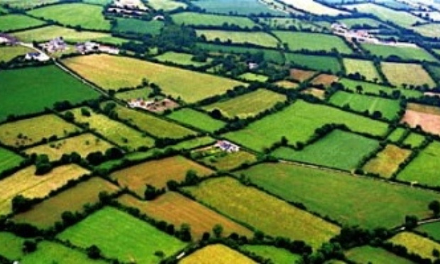 Pays de Blain - Bocage en danger