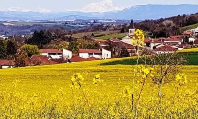 Problème de transport en commun sur Four : nous voulons plus de bus pour nos enfants !