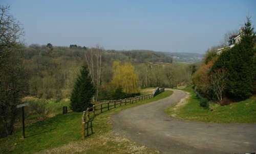Pour le respect du statut d'Espace Boisé Classé du dernier bosquet arboré de la zone commerciale de la commune de Saints-Geosmes (Haute-Marne)