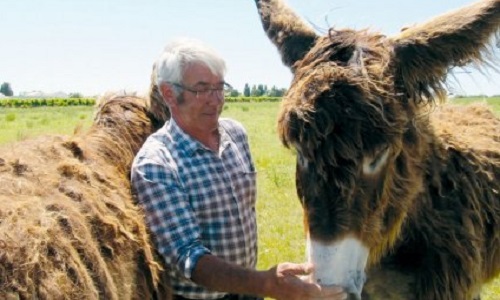 Diffusion au journal télévisé des chaines publiques du sujet suivant: Pour les ânes de Monsieur Léau !