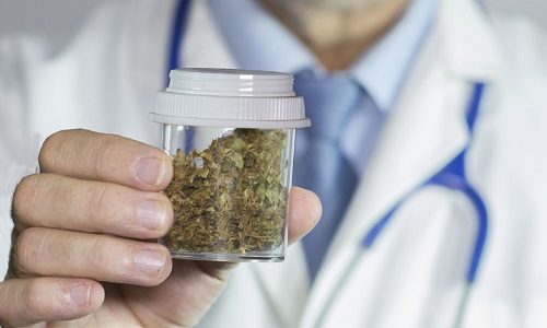 Légalisation du chanvre médical