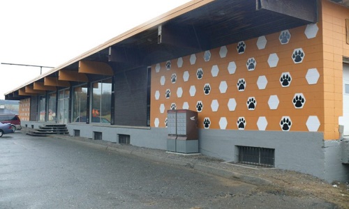 La fermeture définitive et permanente de la SPA Beauce- Etchemin