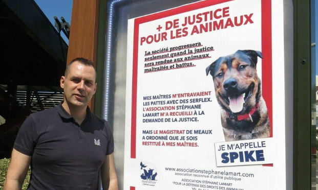 Pour un changement de Magistrat chargé des affaires de protection animale au Parquet de MEAUX (77)