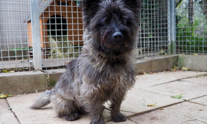 Adoption : Aidez-moi à rejoindre ma famille !