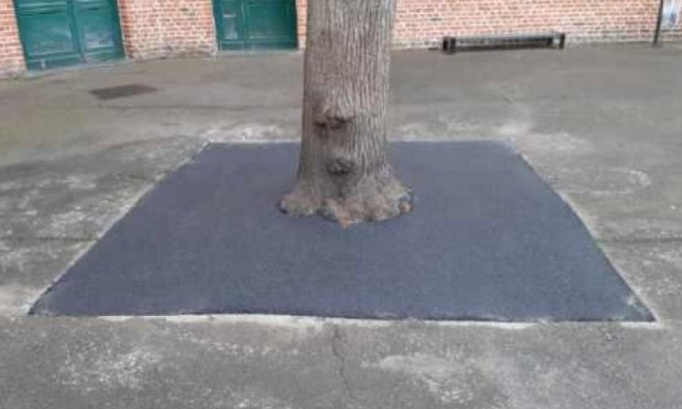 Pour la végétalisation de l'espace public (cours des écoles, rues piétonnes, parkings...) STOP AU BITUME