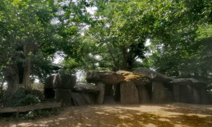 Sauvons les arbres de la Roche aux Fées !