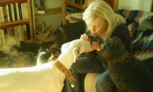 SOS on veut me reprendre ma Galga !