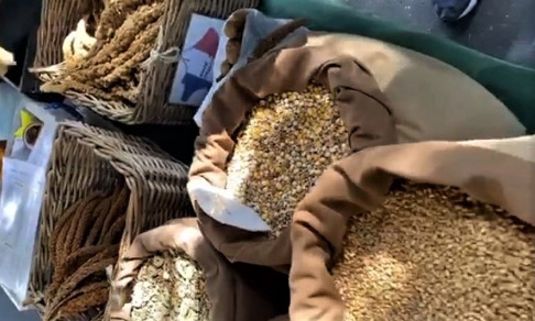 Non à la fermeture du marché aux oiseaux à Paris !