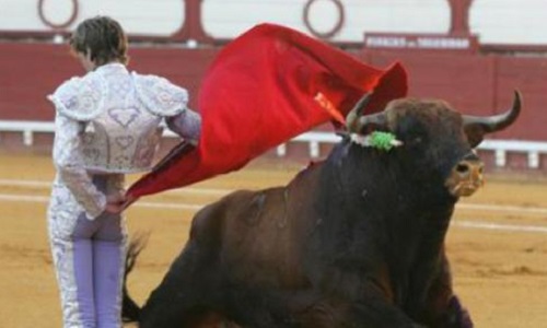 L'interdiction des Corridas en France !