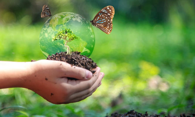 Urgent : Sauvons les non-vertébrés de l'extinction !