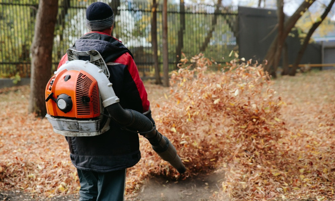 Bien-être animal : pour l'interdiction des souffleurs de feuilles !