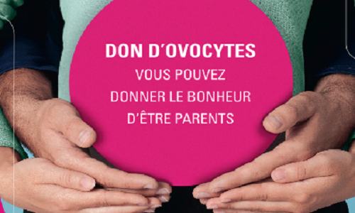 L'indemnisation des donneuses d'ovocytes