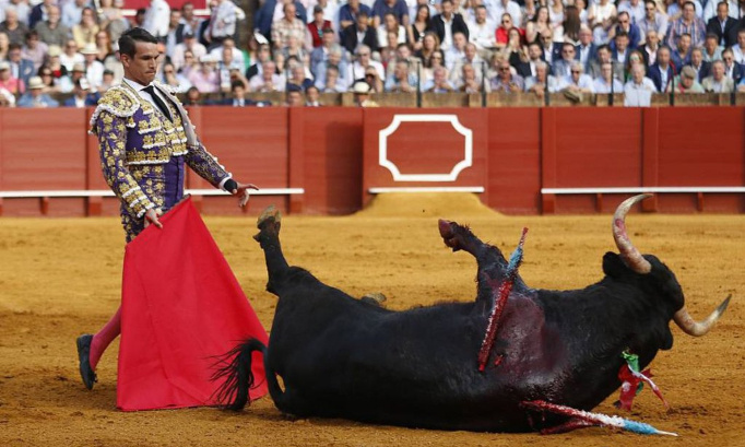 Lutter contre la tauromachie