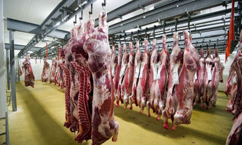 Pour la fermeture définitive de l'abattoir intercommunal de Mauleon Licharre Soule dans le 64 !