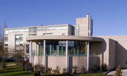 Ne la mettez pas dehors