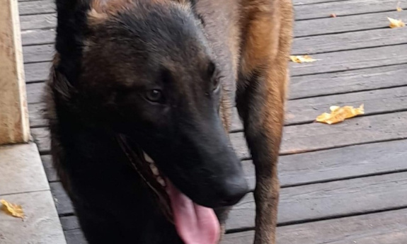 Justice pour Eleven, disparu dans d'étranges circonstances