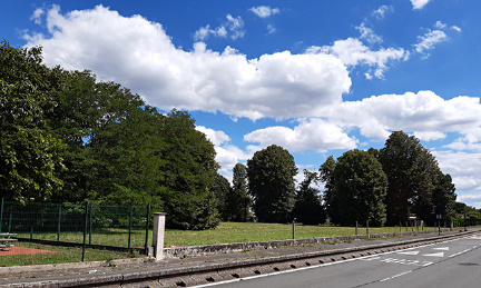 Sauvons la trentaine de grands arbres du 15 rue Lamartine à Ambarès-et-Lagrave