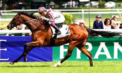 Pour une statue de Cirrus des Aigles dans le prochain Longchamp