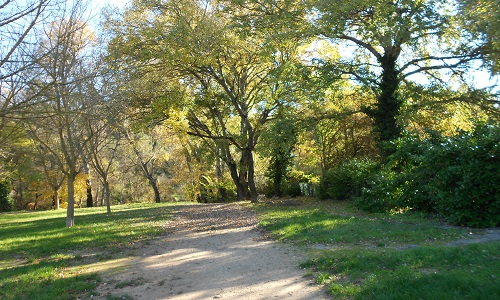 Parc de Plan-de-Cuques : laissez-nous promener nos chiens !