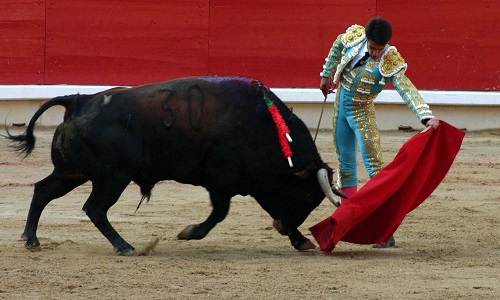 Aidez à interdire la corrida dans les Îles Baléares !