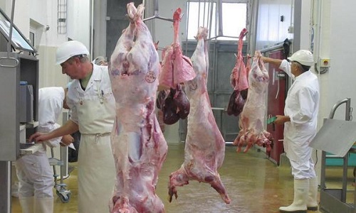 Imposer des caméras dans les abattoirs suite aux maltraitances sur les animaux