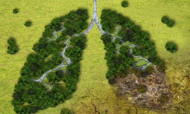 Urgence climatique : réveillons-nous !