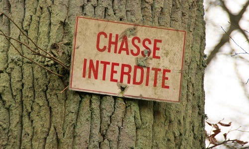 Pour l'abolition de la chasse