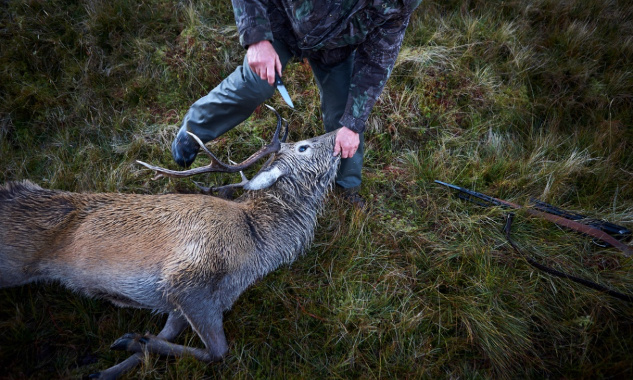 Stop aux pleins pouvoirs de la chasse !