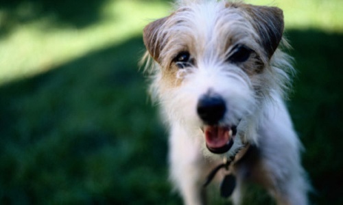 Pour une peine de prison contre l'euthanasie abusive