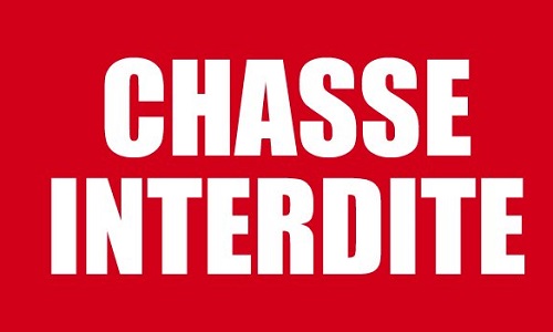 Interdire la chasse les week-ends , c'est URGENT !
