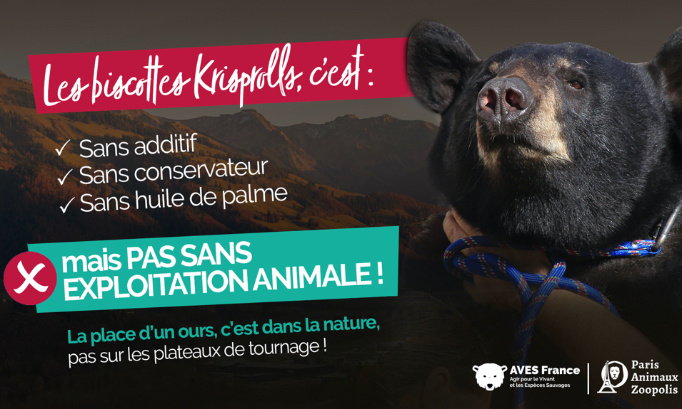 Krisprolls : abandonnez votre publicité avec l'ours Valentin !