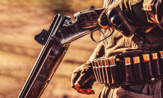 Mettons fin à la chasse !