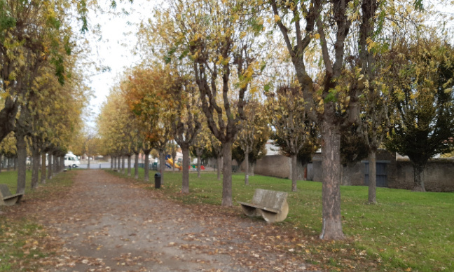 Contre un projet de city stade au coeur d'un champ à Aigueperse !