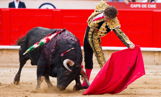 Urgent : soutenons le projet de loi pour l'abolition de la corrida !