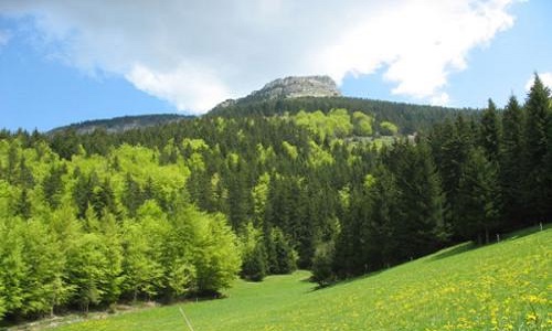 Abolition du droit à la propriété privée