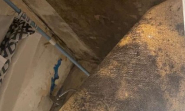 Stop aux dégradations dans la résidence des vertes feuilles avec Vilogia