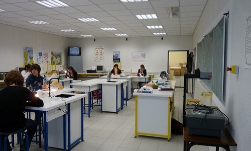 L'interdiction de la dissection des souris dans les collèges et lycées