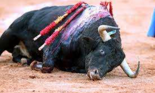 OUI à l'interdiction de la corrida, NON à la barbarie, OUI au respect de la vie