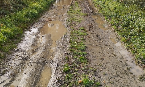 Aidez-moi à rendre accessible le chemin de mon refuge pour animaux SVP !