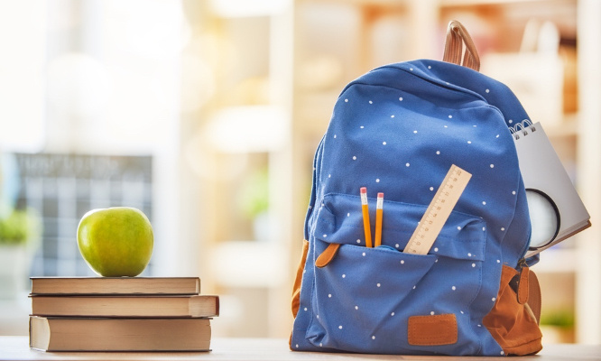 Report sectorisation collège Marseilleveyre