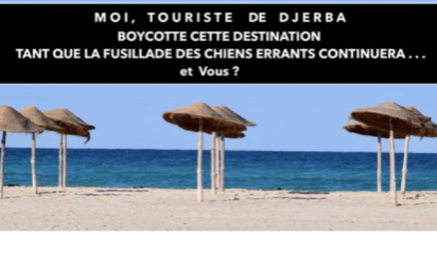 Moi, Touriste de Djerba, boycotte cette destination tant que les chiens errants seront fusillés par la police !