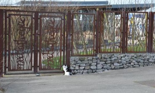 Massacre d'un chat sur le Portel (62)