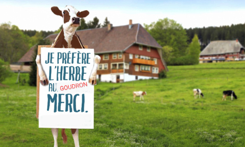 Sauvegardons nos pâturages : Non à un parking de 301 places !