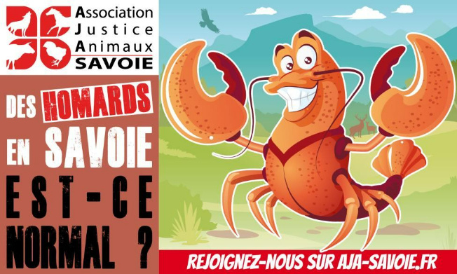 Stop à la commercialisation des crustacés vivants chez Provencia